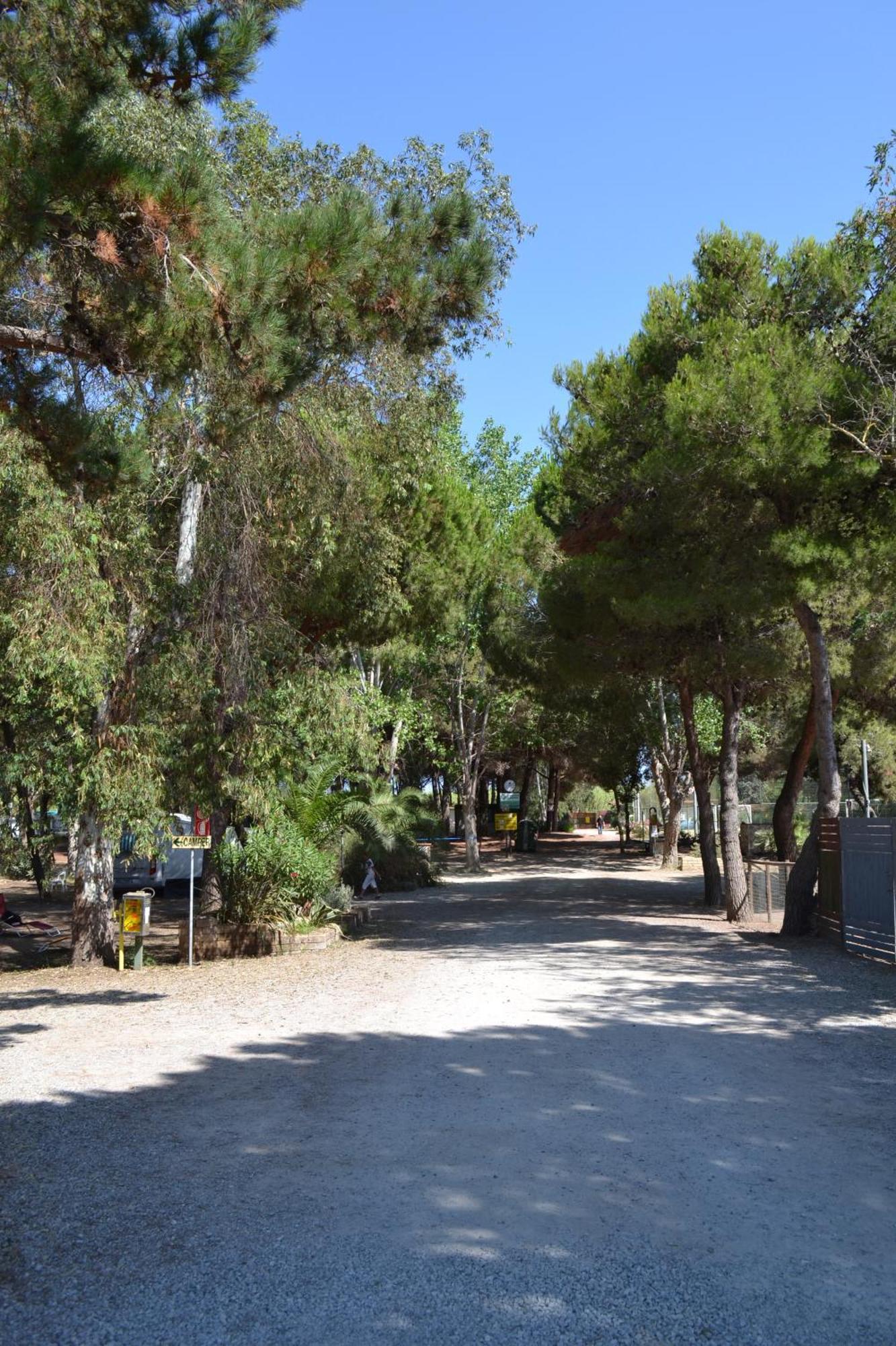 Giannella Camping Orbetello Zewnętrze zdjęcie